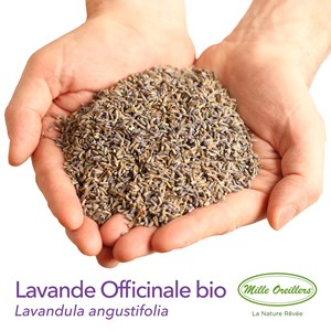Oreiller à la lavande bio - 40 x 60 cm
