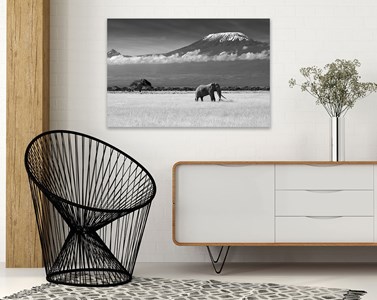Tableau deco elephant et kilimanjaro