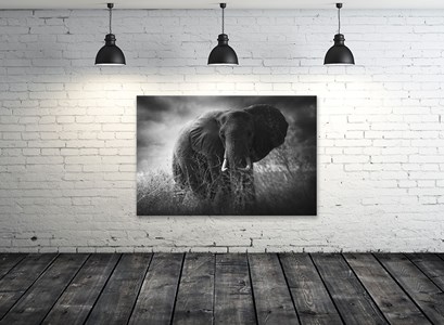 Tableau animaux gros plan sur eléphant