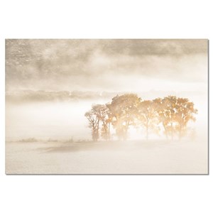 Tableau paysage terre du vent