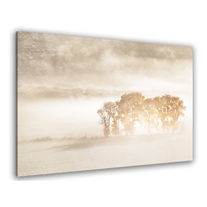 Tableau paysage terre du vent