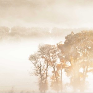Tableau paysage terre du vent