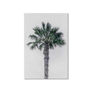Tableau deco coconut palm