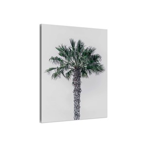 Tableau deco coconut palm
