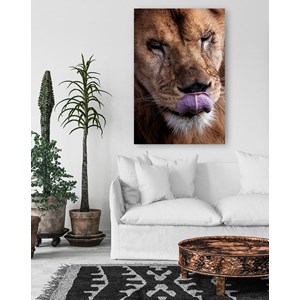 Tableau animaux delice de lion