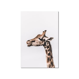 Tableau animaux prendre de la hauteur