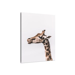 Tableau animaux prendre de la hauteur