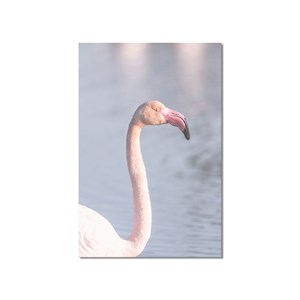 Tableau pastel pink flamingo