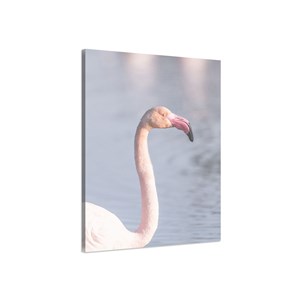 Tableau pastel pink flamingo