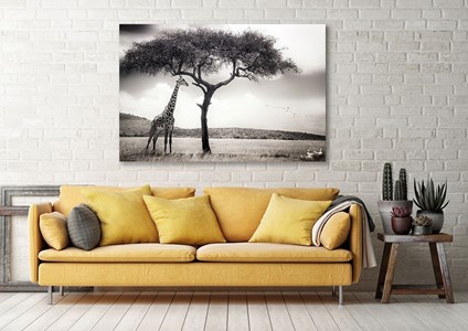 Tableau animaux d'afrique