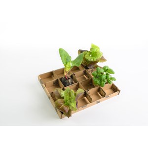 Ortusia kit allez je me lance potager c