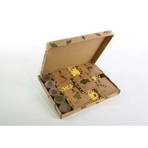 Ortusia kit aromates potager connecté