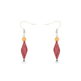 Boucles  d'oreille  en bois  multicolore