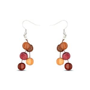 Boucles  d'oreille  en bois  multicolore