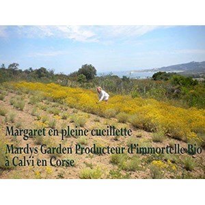 Huile essentielle bio immortelle 5ml