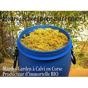 Huile d'immortelle corse 50ml