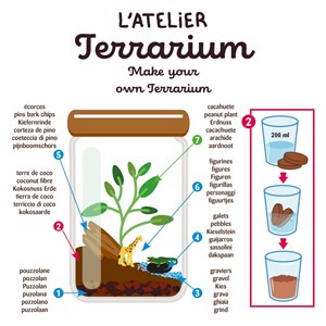 Terrarium de la savane