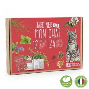 12 plantes pour mon chat