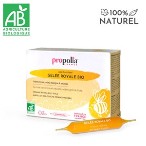 Ampoules de gelée royale bio