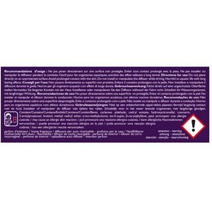 Diffuseur de voiture figue noire