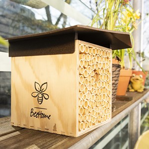 Beehome chocolat