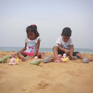 Tortue en caoutchouc naturel