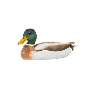 Decobird canard colvert mâle