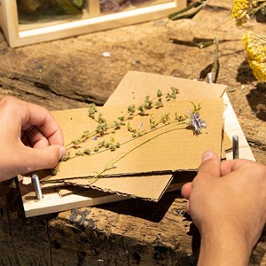 Presse fleurs et herbes