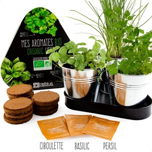 Plateau trio pots zinc - aromates bio *