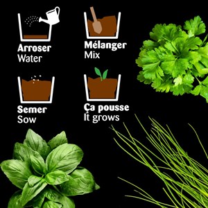 Plateau trio pots zinc - aromates bio *