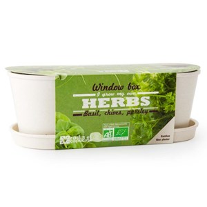 Jardinière graines aromates bio