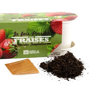Jardinière en bambou fraisiers