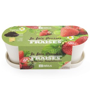 Jardinière en bambou fraisiers