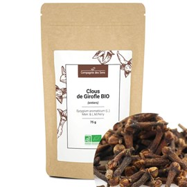 Clous de girofle bio - 75g - clous entiers