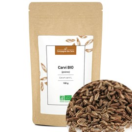 Carvi bio - 100g - graines entières