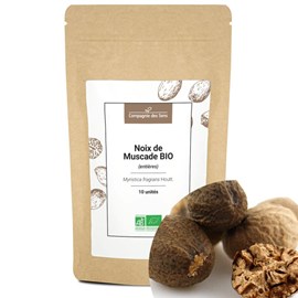 Noix de muscade bio - 10pcs - entières