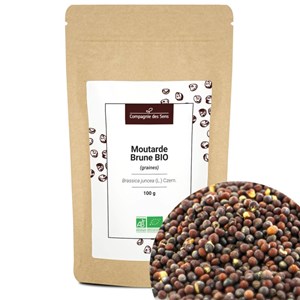 Graines de moutarde brune bio - 100g - g