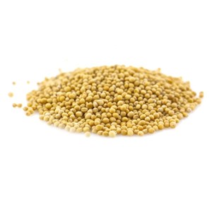 Graines de moutarde jaune bio - 100g - graines entières