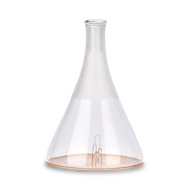 Verrerie pour diffuseur bolea