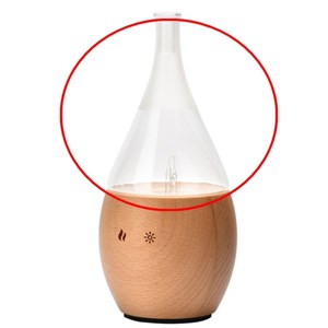 Verrerie pour diffuseur bolea