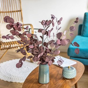 Fleurs séchées eucalyptus populus rouge