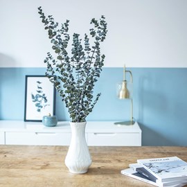 Fleurs séchées : eucalyptus stabilisé