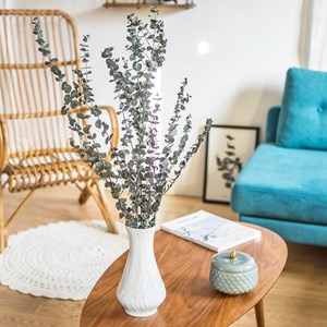 Fleurs séchées : eucalyptus stabilisé