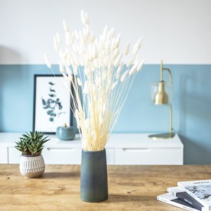 Fleurs séchées : lagurus blanc