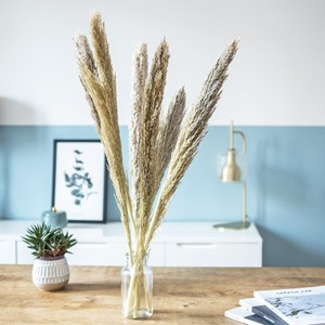 Fleurs séchées miscanthus sec naturel