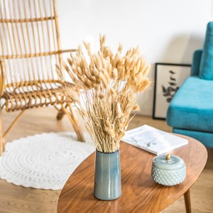 Fleurs séchées lagurus ovatus naturel