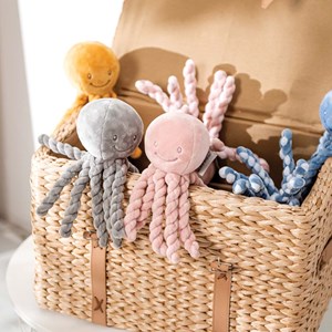 Octopus poulpe gris