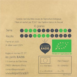 Mini kit de graines bio d'eve la fève