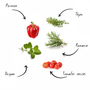 Kit prêt à pousser bbq party graines bio