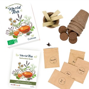 Kit prêt à pousser thés du monde bio*